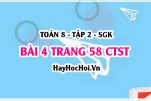 Bài 4 trang 58 Toán 8 Tập 2 Chân trời sáng tạo
